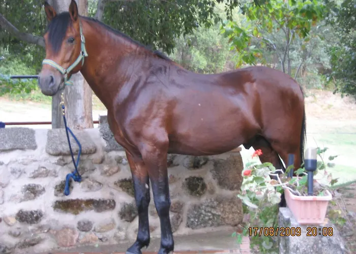 La Caseria Gasthuis 4*